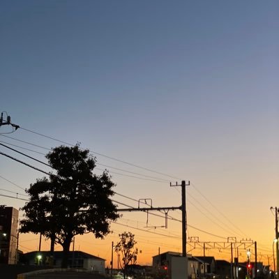 kz_lev1529's profile picture. 