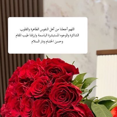 شعارنا واضح ولا به مراوات للخير له نخله وللشر سيفين🐆🇸🇦505