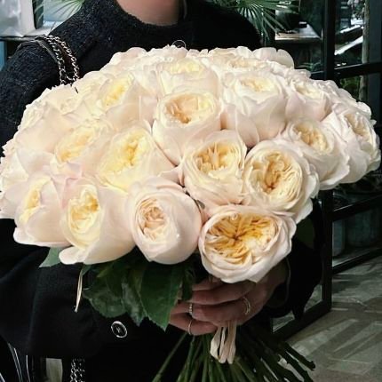 👤👥👤웅성..웅성👥👥👥너무 귀여운데? 😲 아.... 너무 귀엽다 💞 진짜 귀여운데 👥👤👤👥👥 .....(귀여워❗️) 👤👥👤웅성웅성... 👥👤 왜이렇게 귀여워