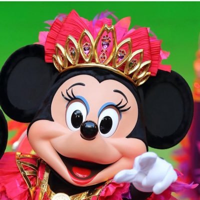 ディズニー 元共通年パス(2013-2019) dオタフォロー必ず返します。無言フォロー申し訳ございません🙏