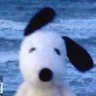 iamscript's profile picture. 