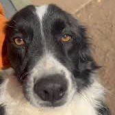 batman67774's profile picture. karma