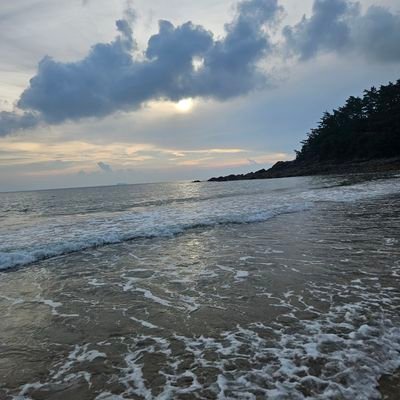 gog253106's profile picture. 20 181 66