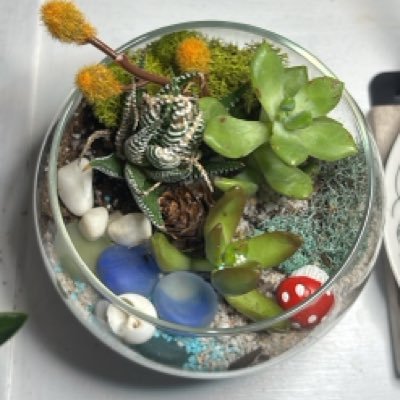 crain385's profile picture. アメリカ在住🇺🇸ガーデニング🍅🫛🍆旅行🚗サワーブレッド 作り コーヒーlover 発酵食物を育てるのが好き  スパイ防止法推奨　DMはやりとりしないです