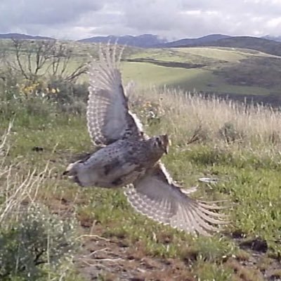 Azul2Go's profile picture. 