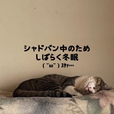 ✿.•¨мокоも歩けば(肉)棒に当たる︎︎ ✿ DMは返信してません︎︎ ✿ポス消し常習犯︎✿ラブホでトイレに行ったことがない女🚰