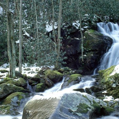 Shepcoover's profile picture. We have two options, medically & emotionally: give up, or Fight Like Hell.