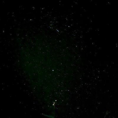 Chelsie_D's profile picture. 