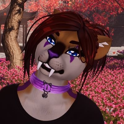 @HaruShadowclaw