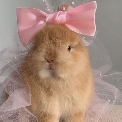 alanaring23's profile picture. i'm baby