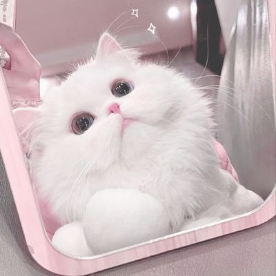 ll30my's profile picture. 成人済み/ 関西 / お取引以外であまり浮上しておりません