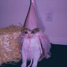 HyewonRules's profile picture. 