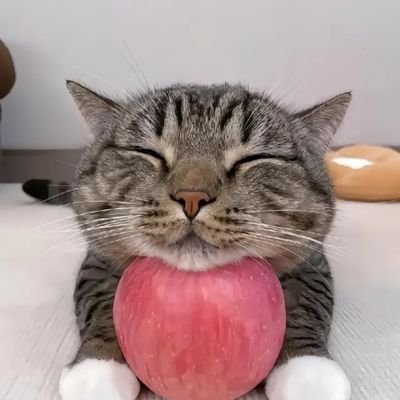 IllusiveBeat's profile picture. I hate instagram
