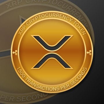 duydaocoin's profile picture. 