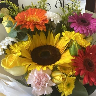 lilyjsanch's profile picture. 