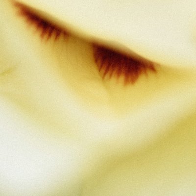 baker1349043075's profile picture. 