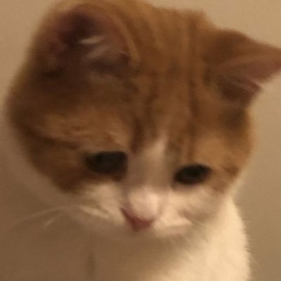 froomaagee's profile picture. 