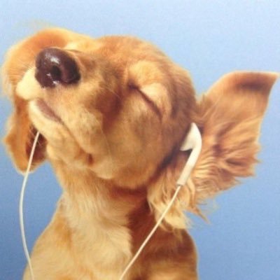 meowjujuuu's profile picture. 
