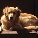 John Gamble - @jgamble23 - Twitter