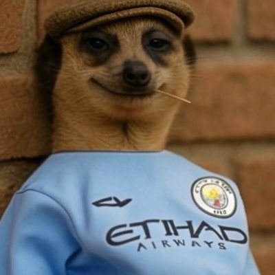 moreoffooty's profile picture. Cool at heart, cool at act. 
MANCHESTER CITY!!! FOOTBALL!!!