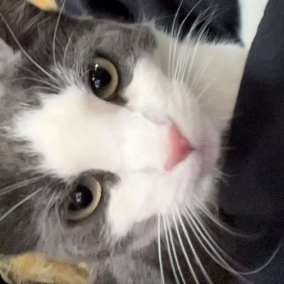 nickmura2's profile picture. cool stuff maker