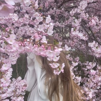kitachita0526's profile picture. 