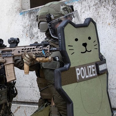Nihilitz's profile picture. Random idiot on Twitter / X.

I like military stuff and I'm curious about politics but I'm not political.

I also like cats.