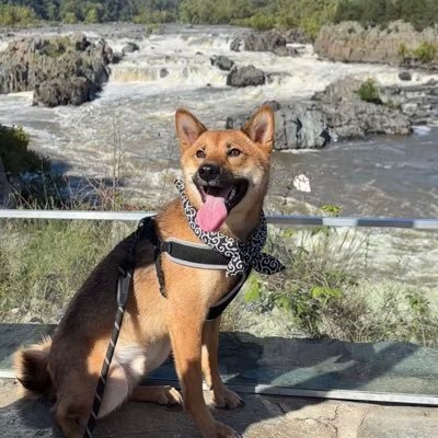 Jackywoo1112's profile picture. Software Engineer, ETH Maxi, BTC Hodler