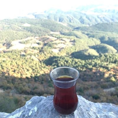 Futbol antrenörü 🥅⚽, Araştırma görevlisi 🧑💻, Okur-yazar 📖✍️, Başak ♍️