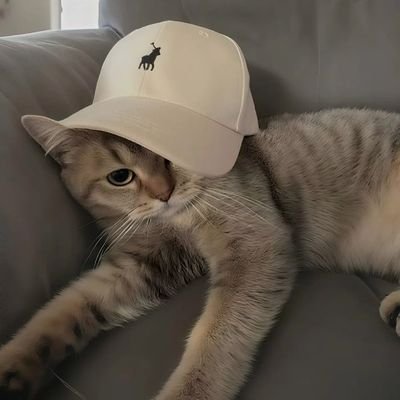 keya578900478's profile picture. 