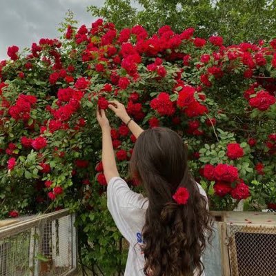 EVrsTLdRRJ5J5z1's profile picture. 