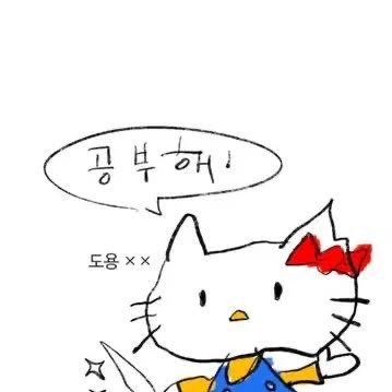 chocho787899's profile picture. 