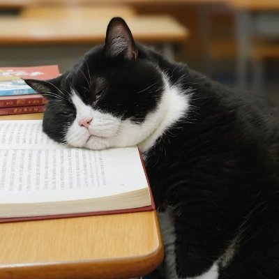 fito9292's profile picture. yorgun savaşçı