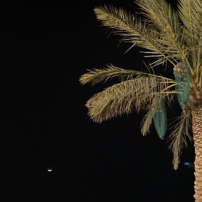 ShahadAlsh____'s profile picture. 