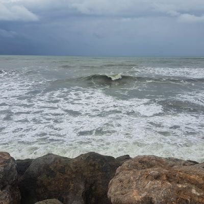 DrMehrdadka54's profile picture. مدرس دانشگاه. پژوهشگر