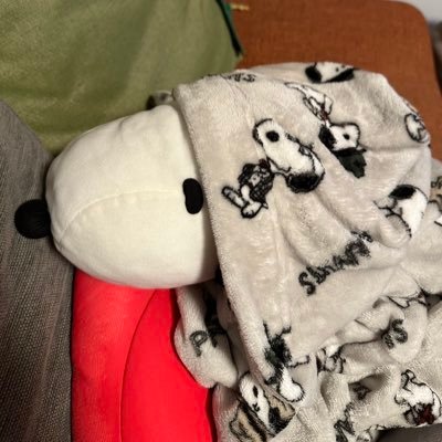 移住者 元外資系金融マン 経済学Ph.D. ハワイ、 沖縄、航空機好き 令和の余裕ある人間を目指し読み物を読み漁りデータ分析の日々 サッカー浦和レッズ 野球阪神→日本ハム #66 #38 #21 妻→#50
