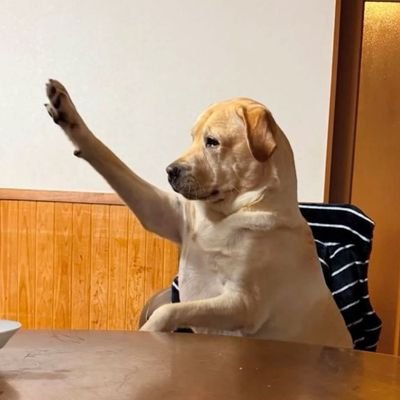 vwmela's profile picture. Éternel insatisfait 🌱