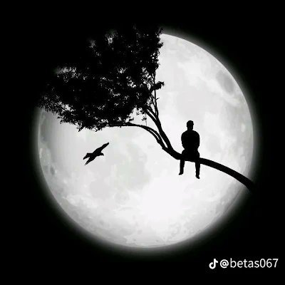 dudutims26's profile picture.