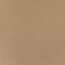 alknnedret21's profile picture. 