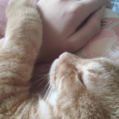 95uVJUR2JI72591's profile picture. 