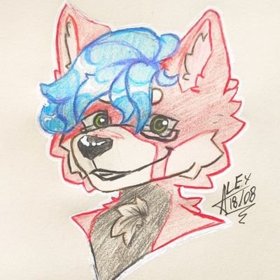 Matt_wah1's profile picture. other furry | red panda |
ESP /  ENG |