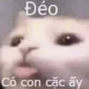 lancaster380073's profile picture. I'm a Adventurous visionary passionate about gaming.