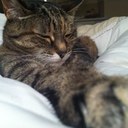 maureen reed - @reed_maureen - Twitter