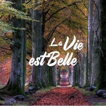 *Professeur d'ethique et de bioethique USEK *Directeur Centre d'Ethique USEK. *Presid. Association Care For Me * Membre Comite Consultatif National d'Ethique