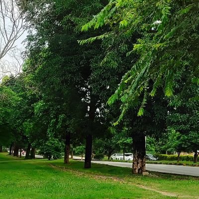 Shahzebkhan0987's profile picture. Hum Hain rahgeer