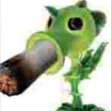 Elale_yo's profile picture. Me escape de la fabrica del joseo juejejejej