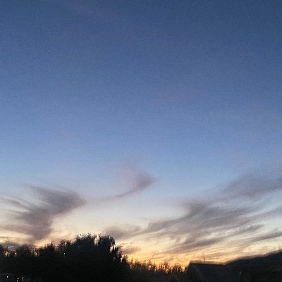 DavidLevao77925's profile picture. 