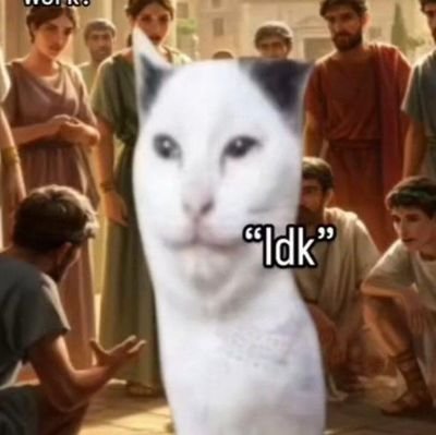ani32156's profile picture. Nishtarian 22
