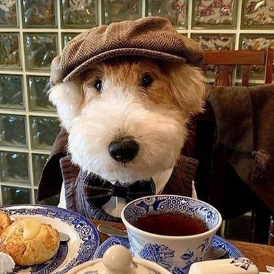 Bas_zuka's profile picture. 