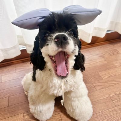 さだはる さだはる on X